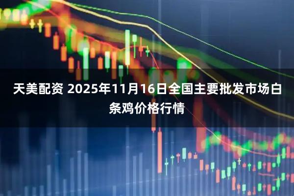 天美配资 2025年11月16日全国主要批发市场白条鸡价格行情