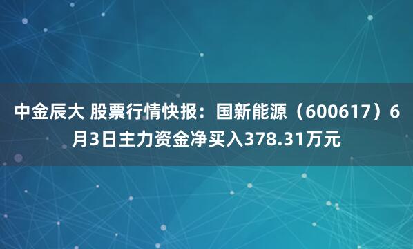 中金辰大 股票行情快报：国新能源（600617）6月3日主力资金净买入378.31万元