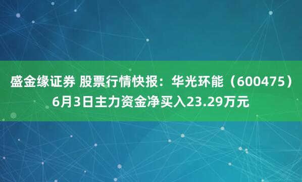 盛金缘证券 股票行情快报:华光环能(600475)6月3日主力资金净买入23.29万元