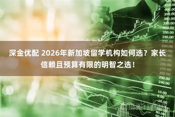 深金优配 2026年新加坡留学机构如何选？家长信赖且预算有限的明智之选！