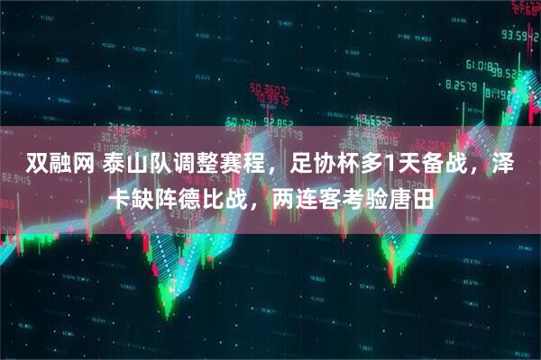 双融网 泰山队调整赛程，足协杯多1天备战，泽卡缺阵德比战，两连客考验唐田